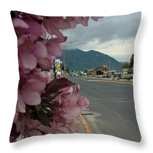 Montana Landscape - Throw Pillow