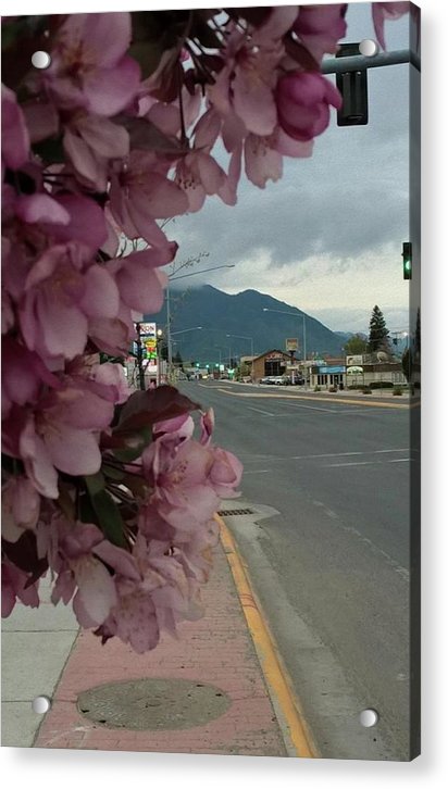 Montana Landscape - Acrylic Print