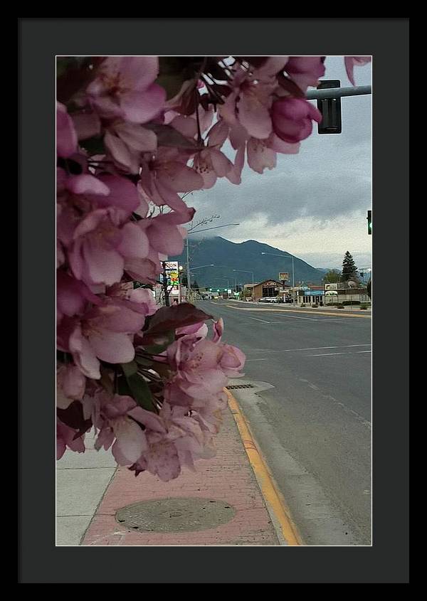 Montana Landscape - Framed Print