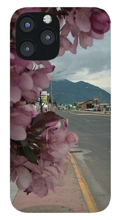 Montana Landscape - Phone Case
