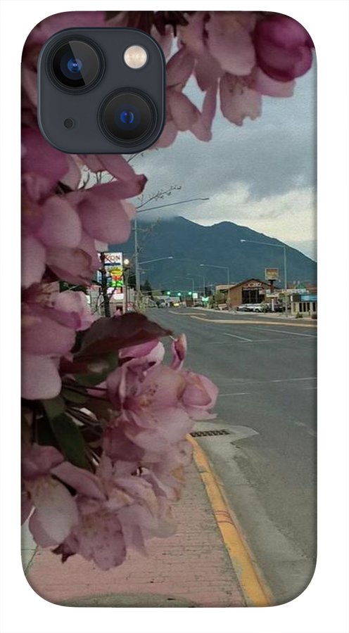 Montana Landscape - Phone Case