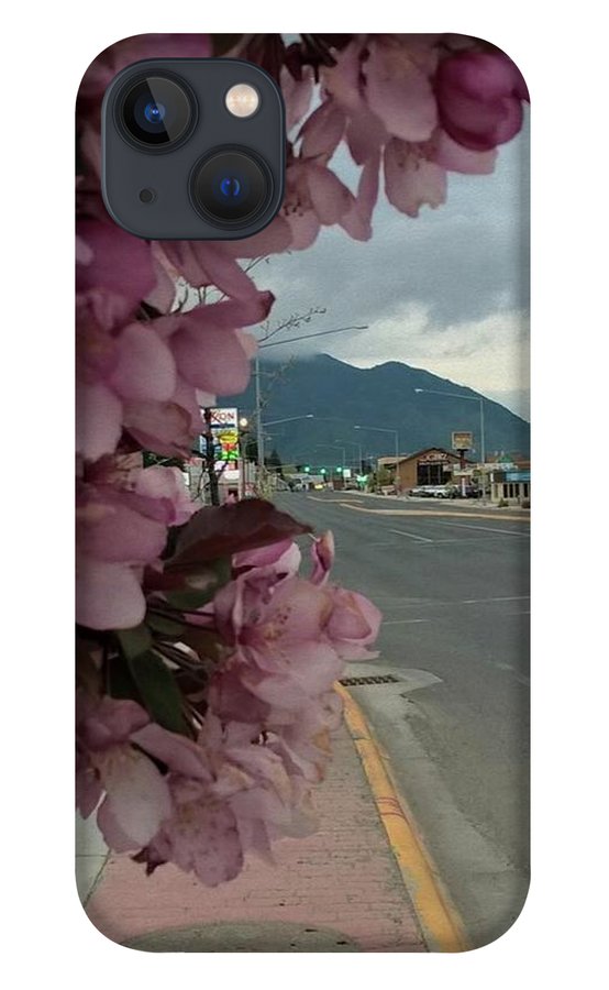 Montana Landscape - Phone Case