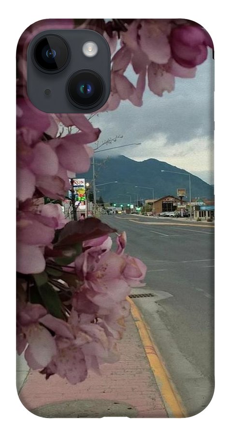 Montana Landscape - Phone Case
