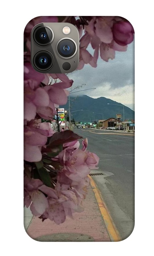 Montana Landscape - Phone Case