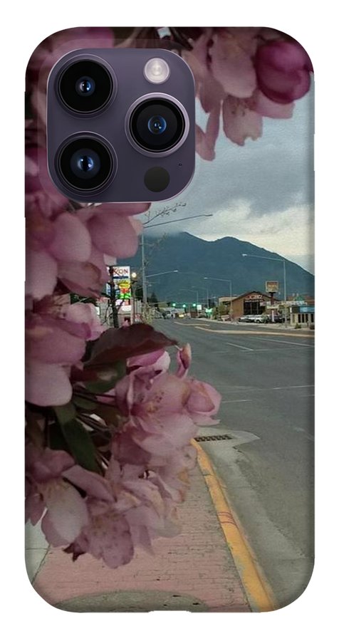Montana Landscape - Phone Case