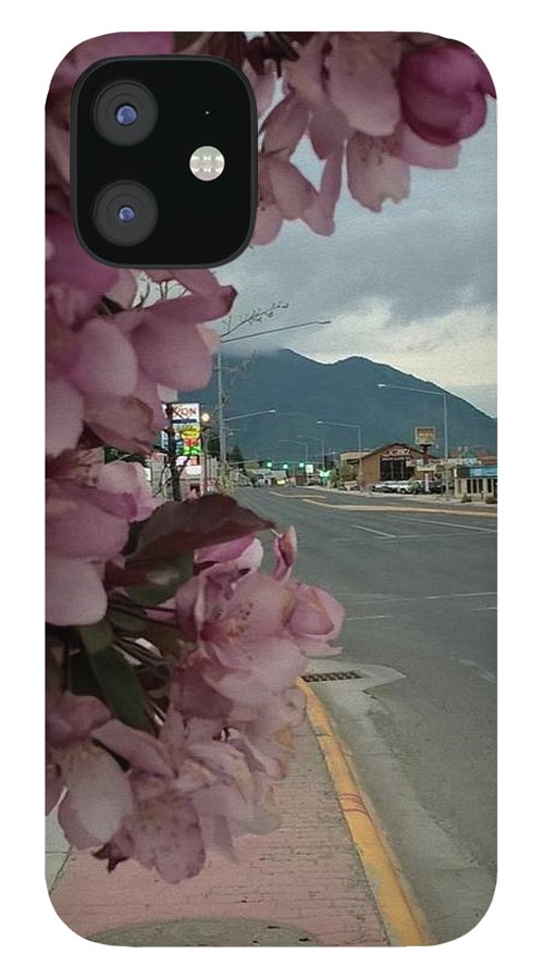 Montana Landscape - Phone Case