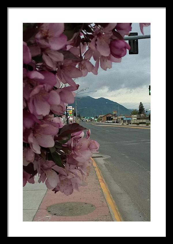 Montana Landscape - Framed Print