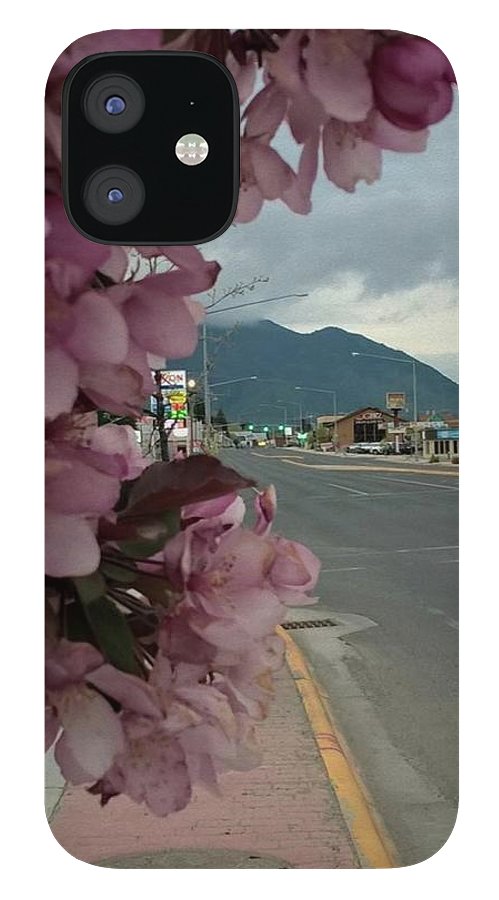 Montana Landscape - Phone Case
