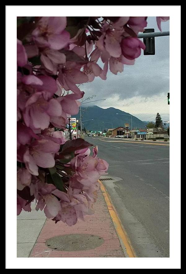 Montana Landscape - Framed Print