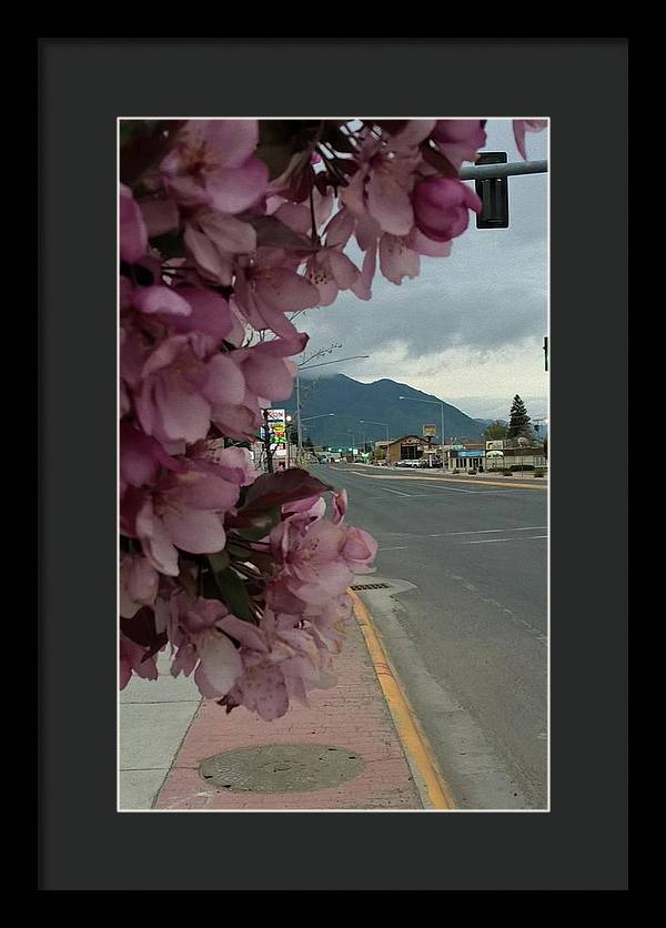 Montana Landscape - Framed Print