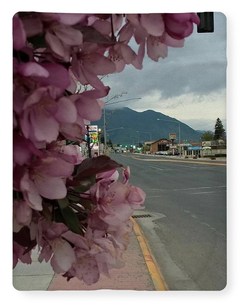 Montana Landscape - Blanket
