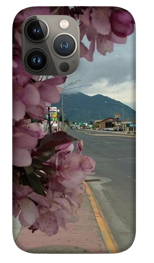 Montana Landscape - Phone Case