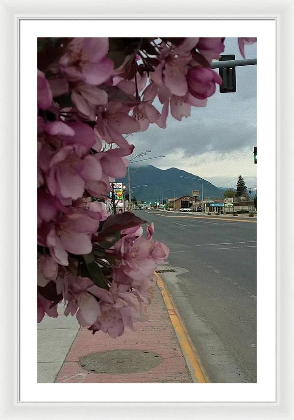 Montana Landscape - Framed Print