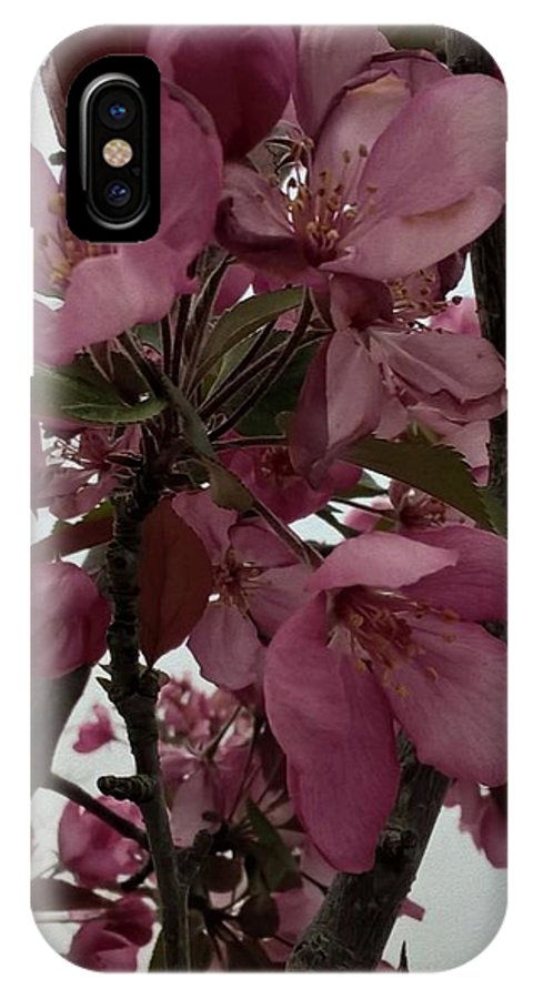 Montana Tree Flowers in Pink - Phone Case