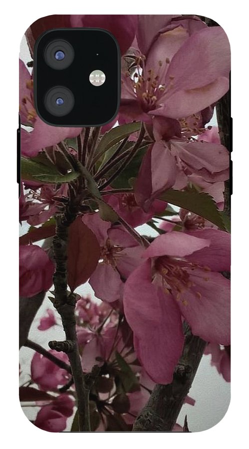 Montana Tree Flowers in Pink - Phone Case