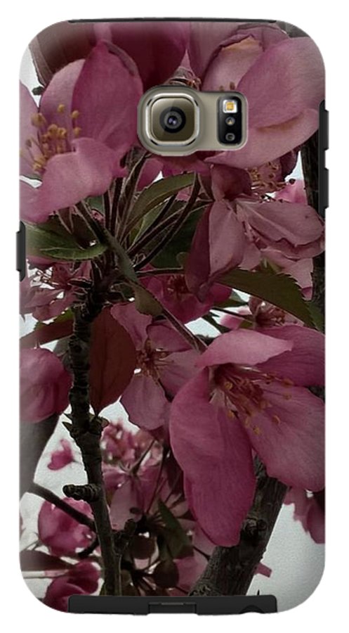 Montana Tree Flowers in Pink - Phone Case