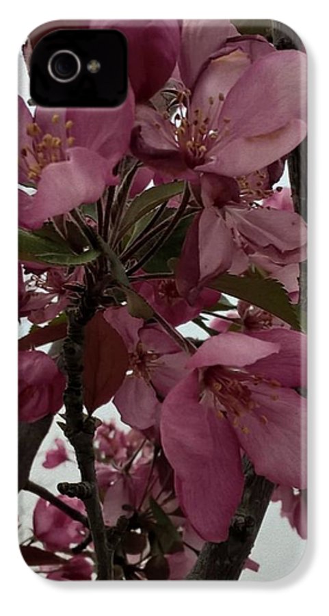 Montana Tree Flowers in Pink - Phone Case
