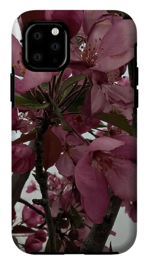 Montana Tree Flowers in Pink - Phone Case