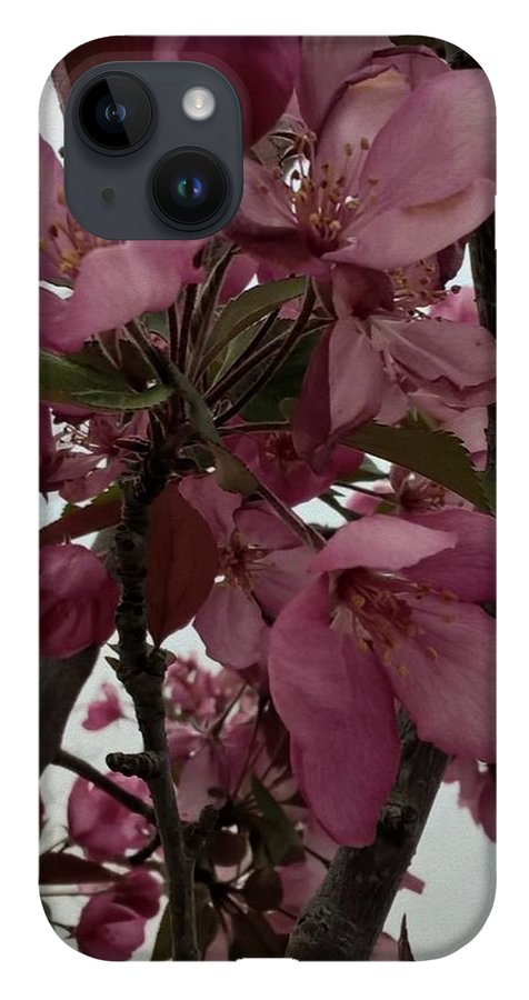 Montana Tree Flowers in Pink - Phone Case