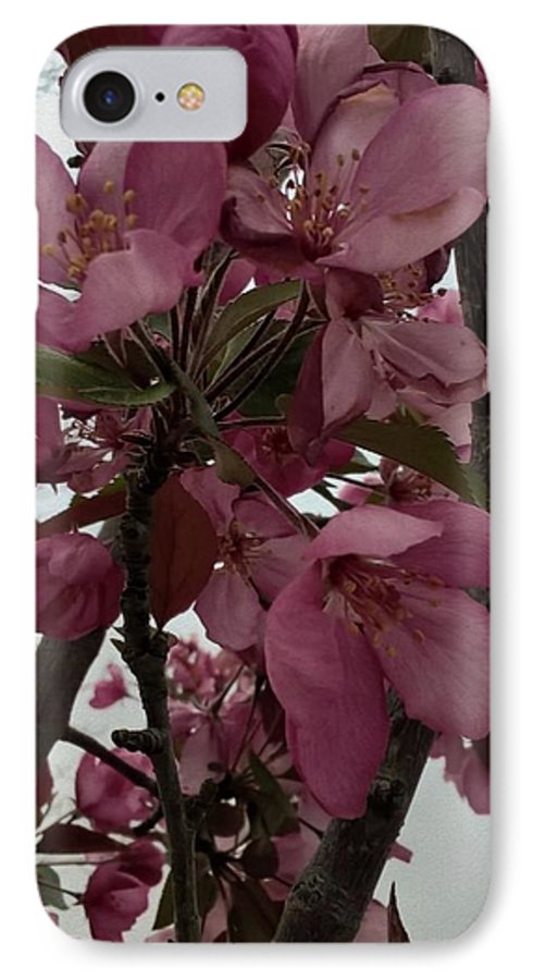 Montana Tree Flowers in Pink - Phone Case