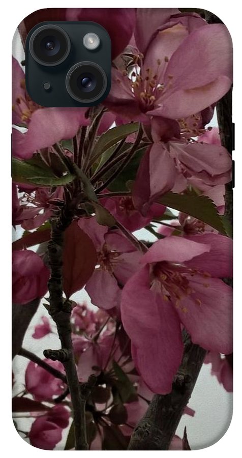 Montana Tree Flowers in Pink - Phone Case