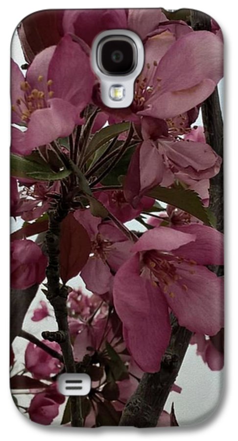 Montana Tree Flowers in Pink - Phone Case