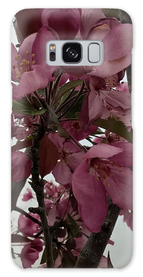 Montana Tree Flowers in Pink - Phone Case