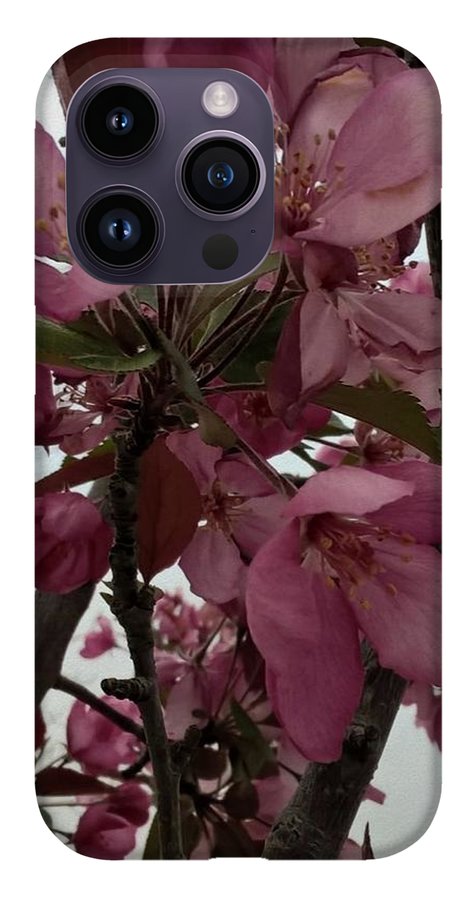 Montana Tree Flowers in Pink - Phone Case