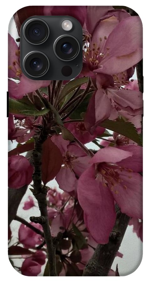 Montana Tree Flowers in Pink - Phone Case