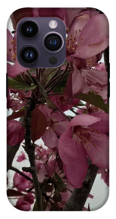 Montana Tree Flowers in Pink - Phone Case