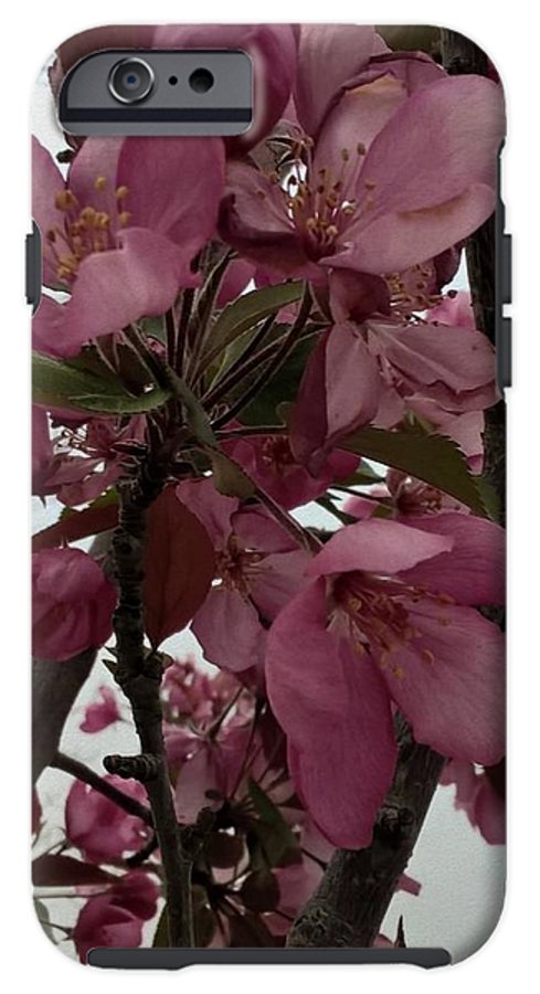 Montana Tree Flowers in Pink - Phone Case