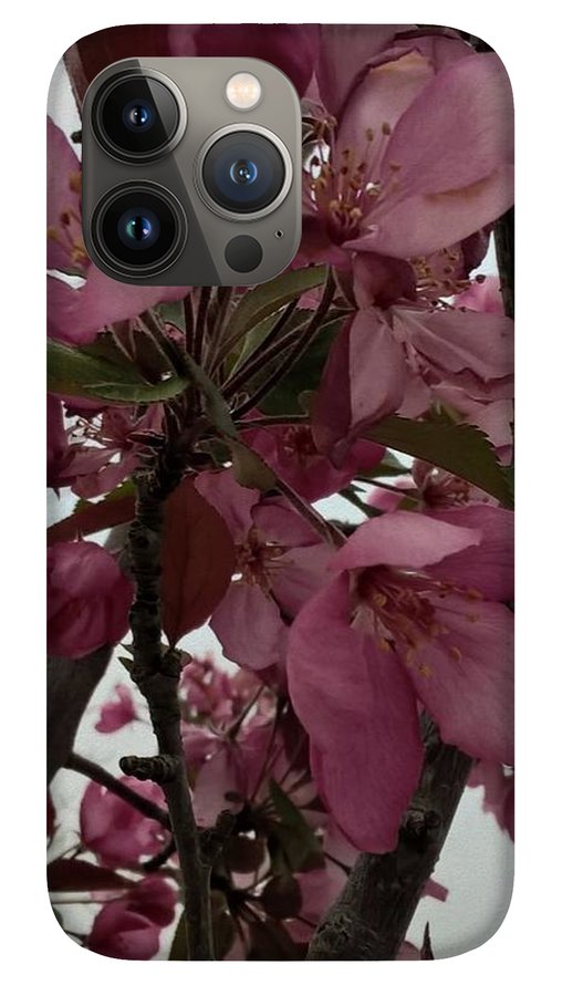 Montana Tree Flowers in Pink - Phone Case