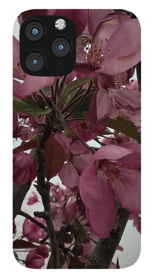 Montana Tree Flowers in Pink - Phone Case
