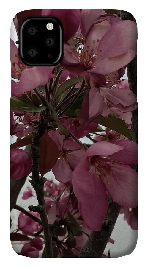 Montana Tree Flowers in Pink - Phone Case