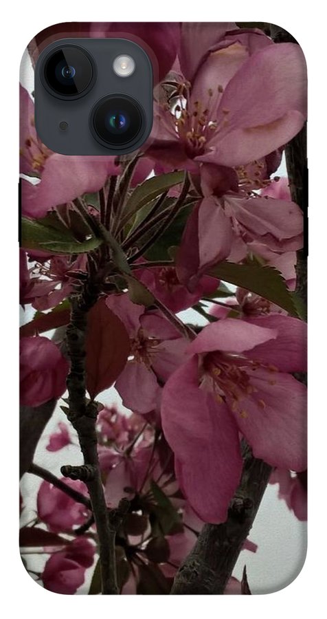 Montana Tree Flowers in Pink - Phone Case