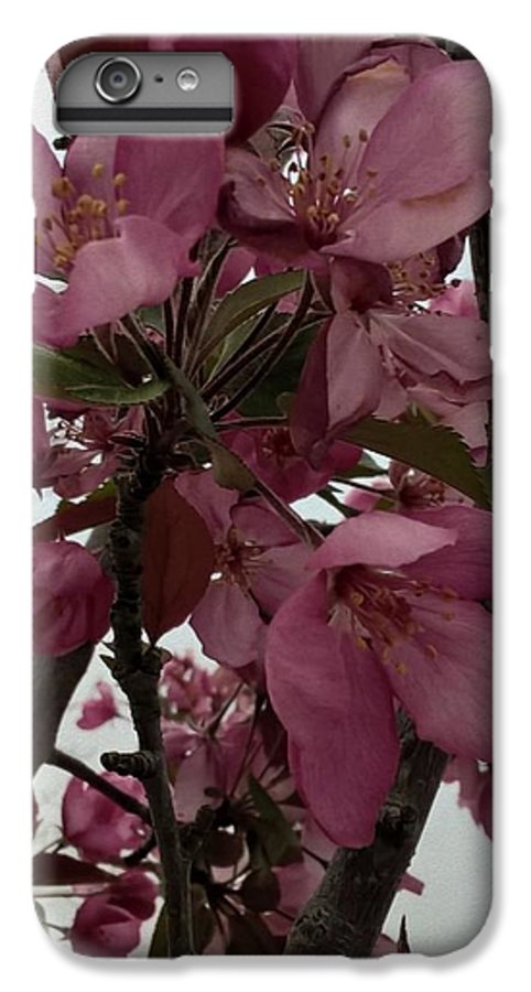 Montana Tree Flowers in Pink - Phone Case