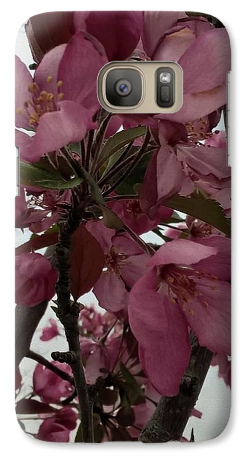 Montana Tree Flowers in Pink - Phone Case