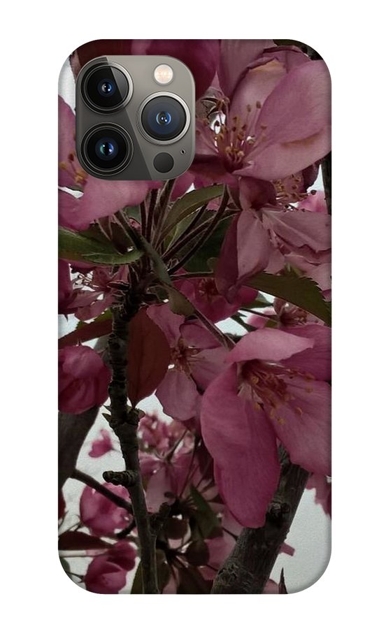 Montana Tree Flowers in Pink - Phone Case