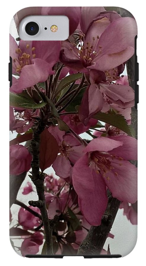 Montana Tree Flowers in Pink - Phone Case