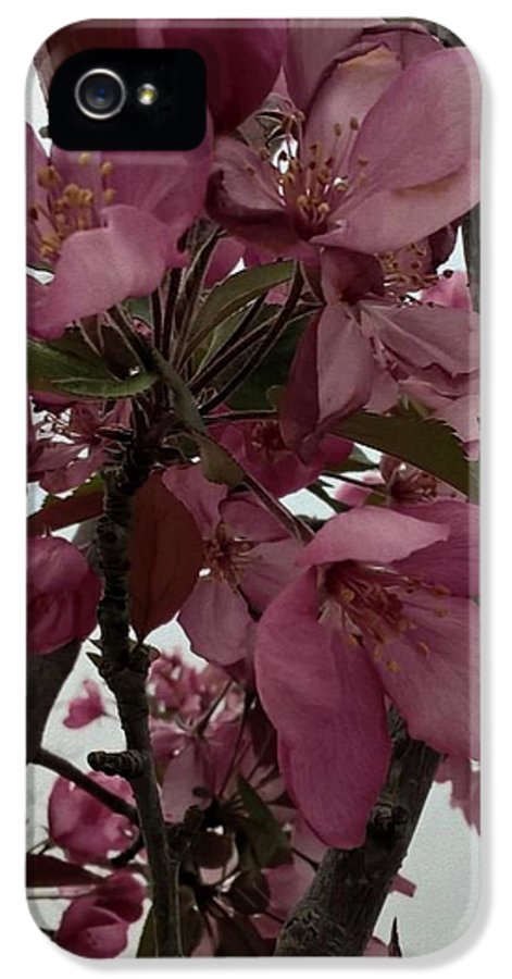 Montana Tree Flowers in Pink - Phone Case