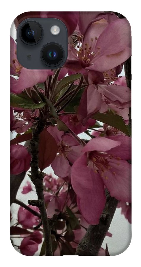 Montana Tree Flowers in Pink - Phone Case