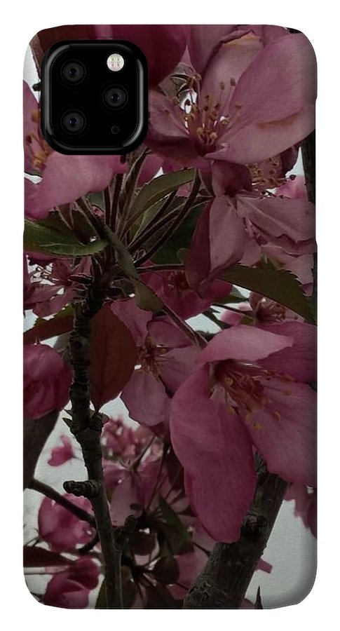 Montana Tree Flowers in Pink - Phone Case