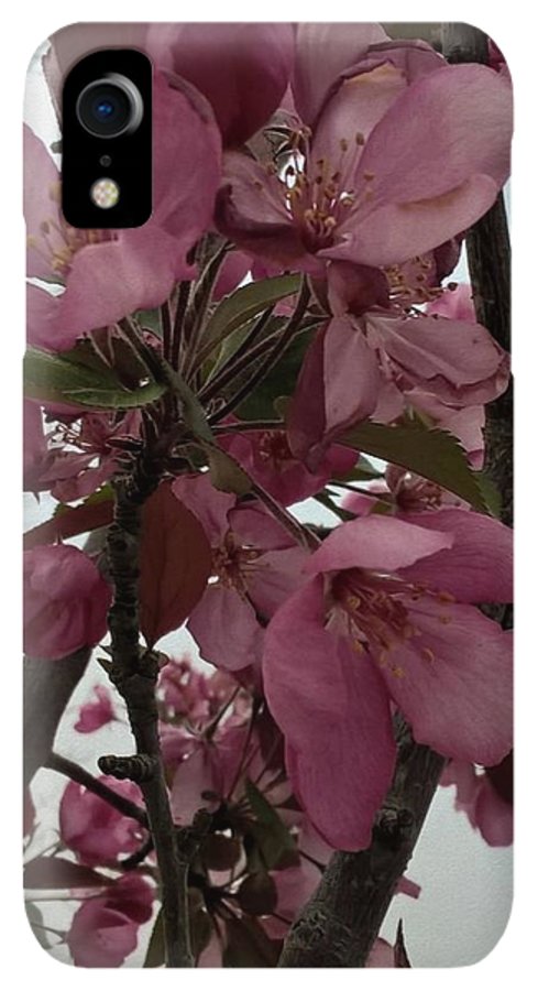 Montana Tree Flowers in Pink - Phone Case