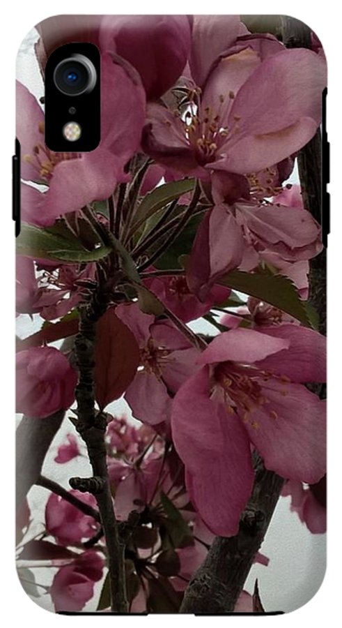 Montana Tree Flowers in Pink - Phone Case