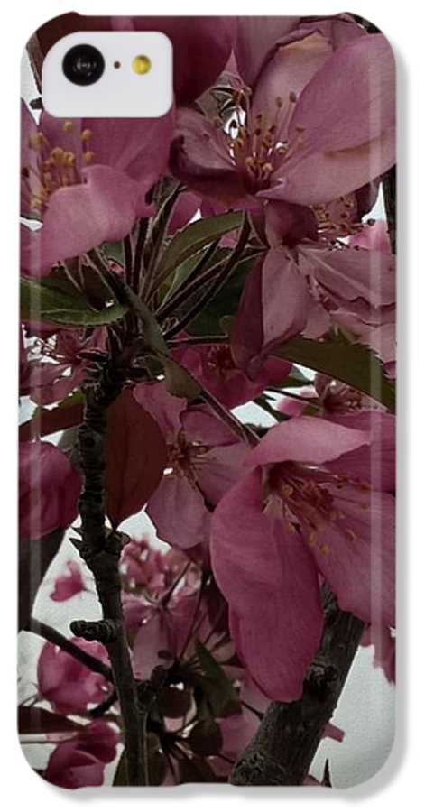 Montana Tree Flowers in Pink - Phone Case