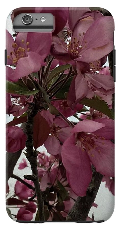 Montana Tree Flowers in Pink - Phone Case