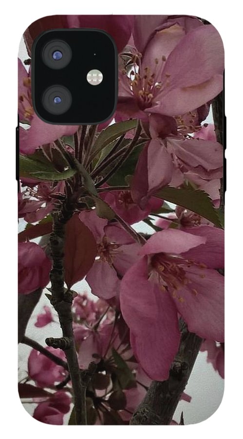Montana Tree Flowers in Pink - Phone Case