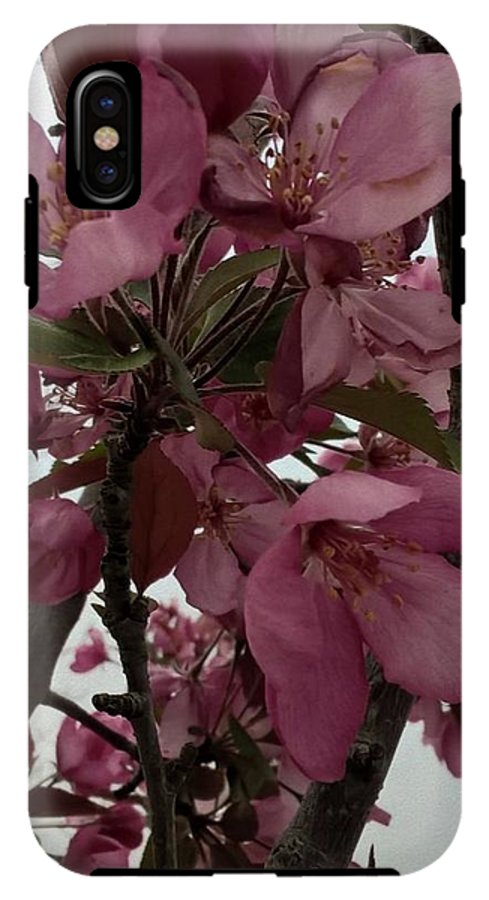 Montana Tree Flowers in Pink - Phone Case