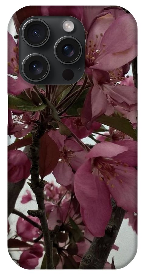 Montana Tree Flowers in Pink - Phone Case