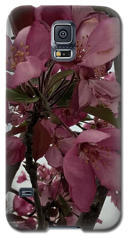 Montana Tree Flowers in Pink - Phone Case